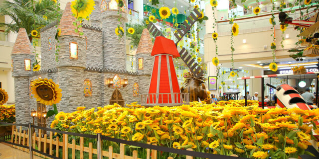 Sunflowers exhibit