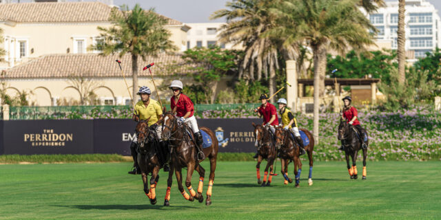 Dubai Polo & Equestrian Club - Field 1